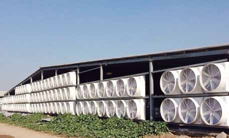 濟寧玻璃鋼風機