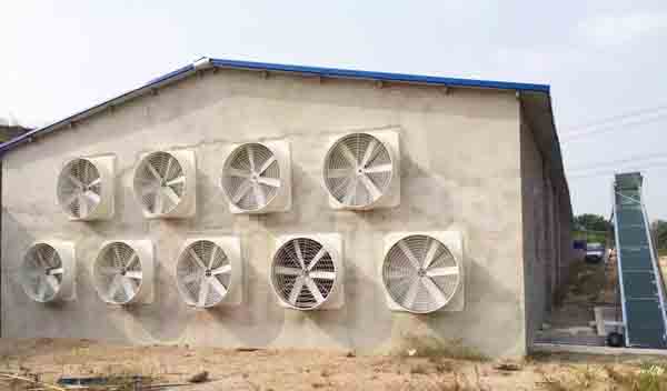 夏季豬舍通風降溫 夏季豬舍通風降溫