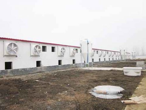 畜牧負壓風機的技術參數,畜牧風機的噪音測量方法